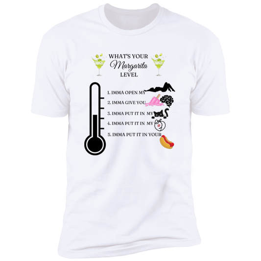 WHAT'S YOUR MARGARITA LEVEL T-Shirt